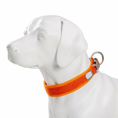 Halsband mit Muster Orange